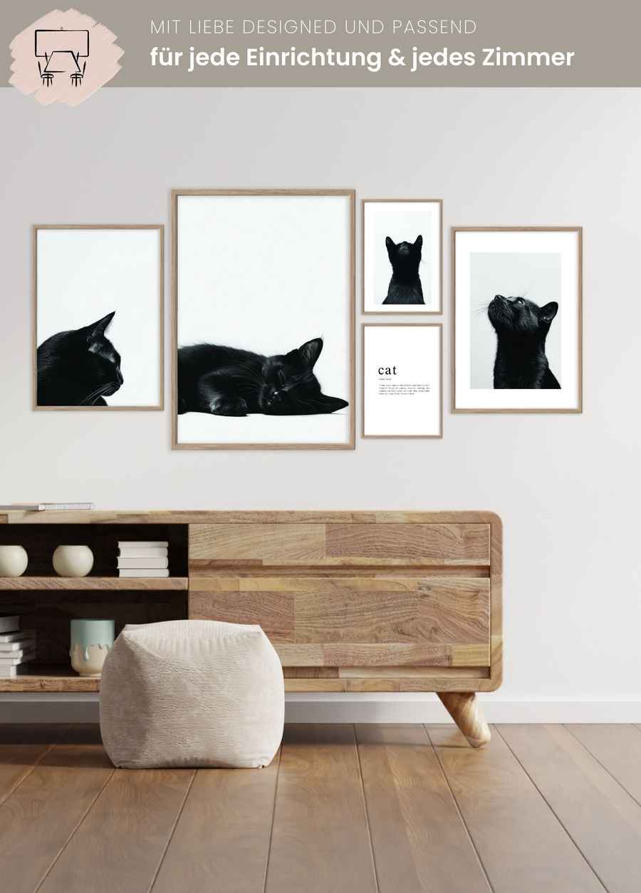 Katzen Poster Set für dein Wohnzimmer