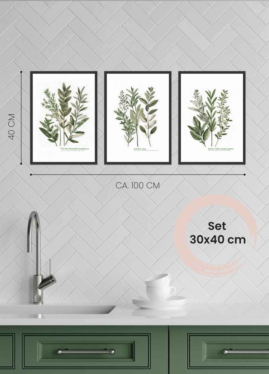 Green Harmony 3er Poster Set für dein Wohnzimmer in 30x40cm