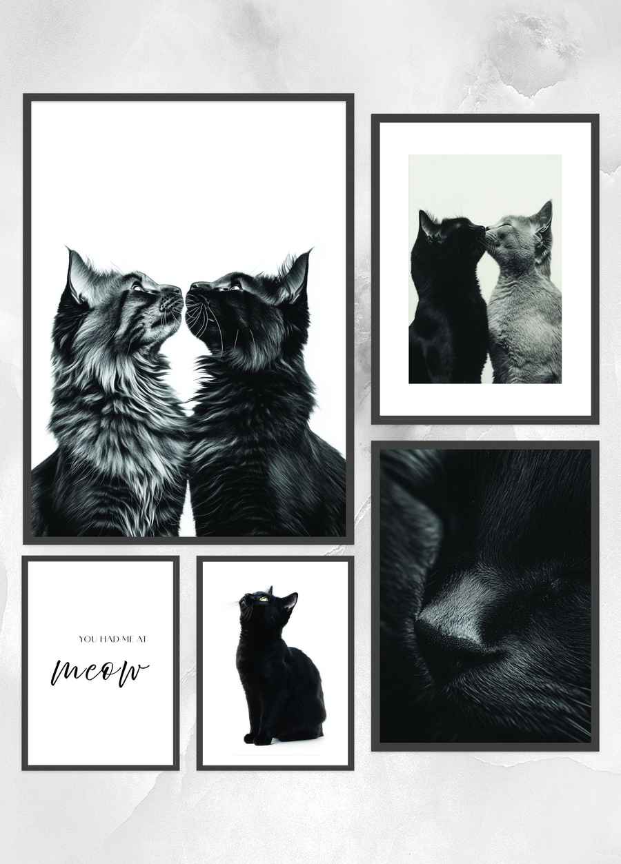 Katzenliebe Poster Set