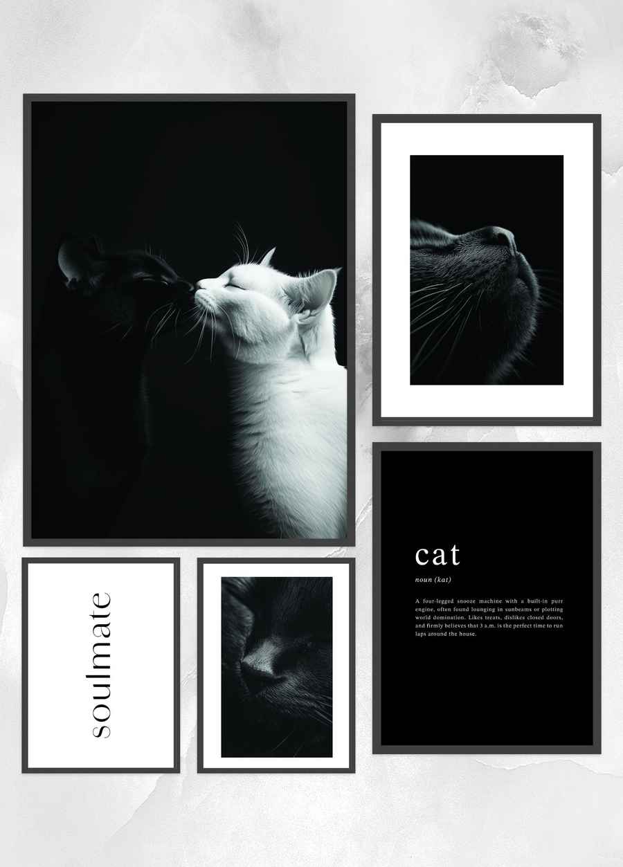 Katzenseelen Poster Set