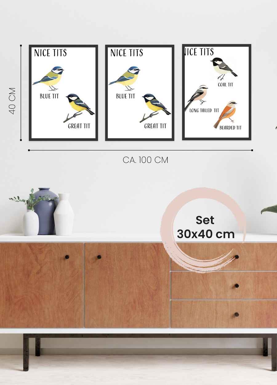 Nice Tits 3er Poster Set für dein Wohnzimmer in 30x40cm
