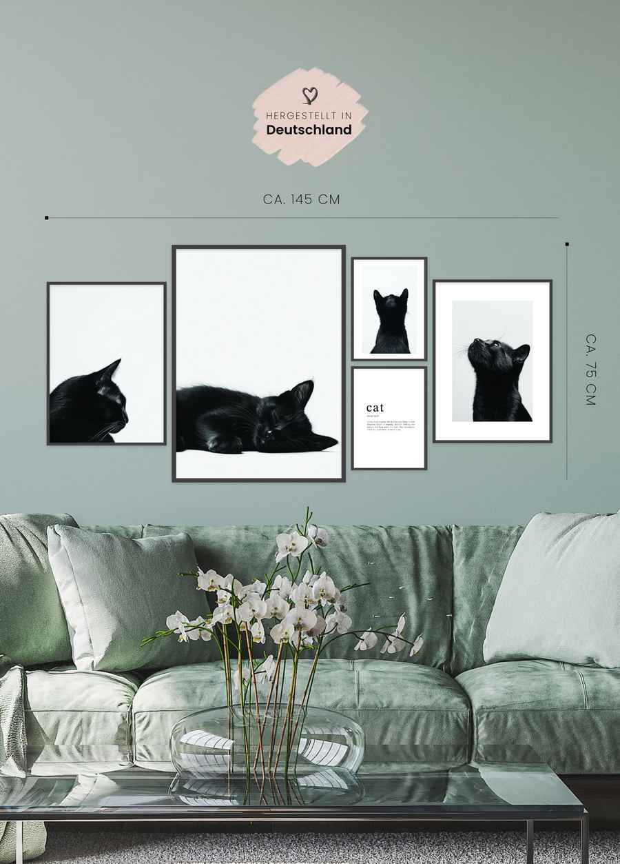 Katzen Poster Set für dein Schlafzimmer