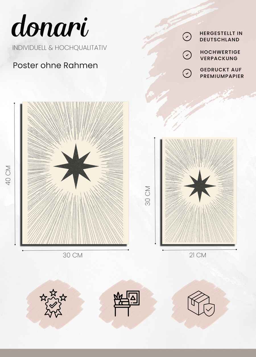 Guiding Star Poster Details