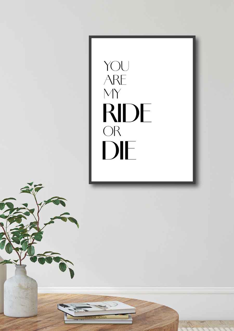 You are my Ride or Die 1