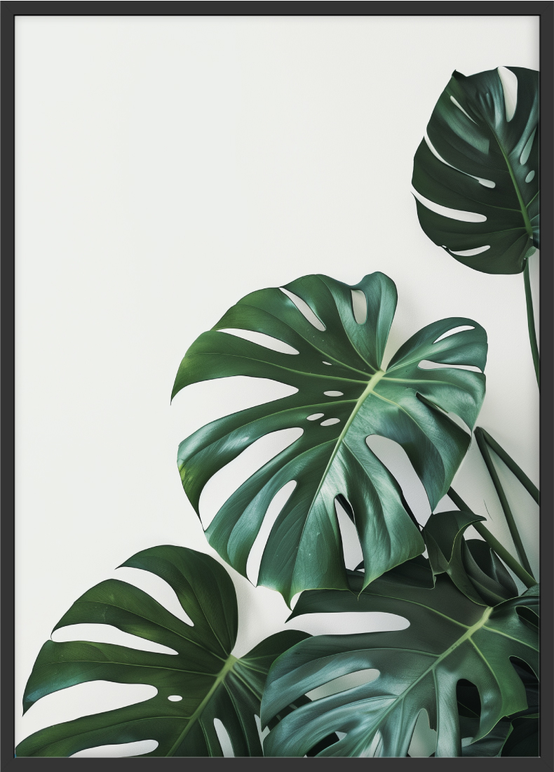 Poster | "Monstera Pflanzen" (Rahmen)