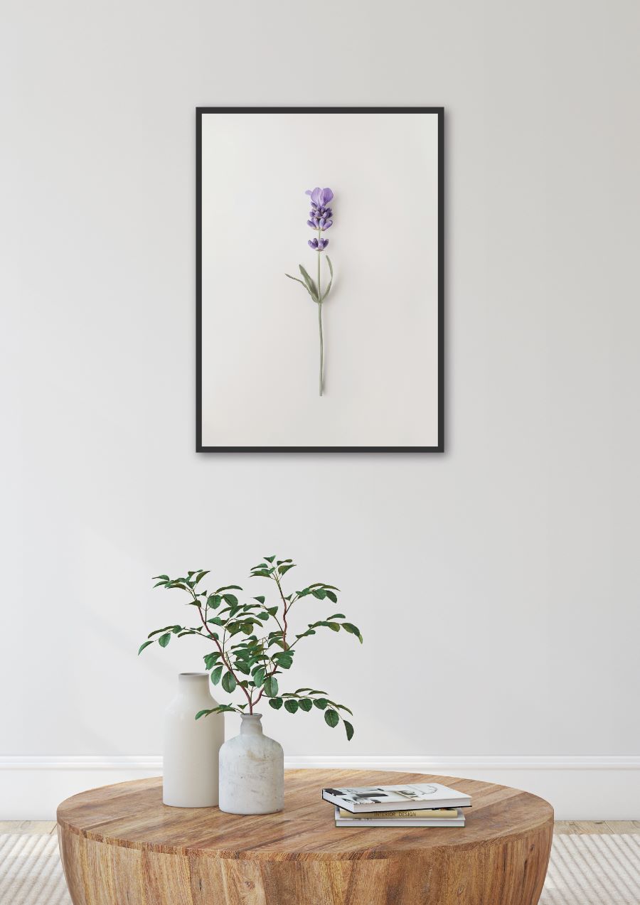 Poster | "Lavendel" (Szene)