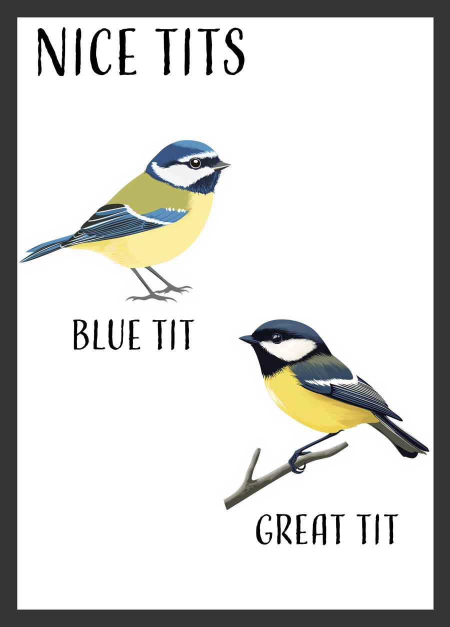 Nice Tits Poster