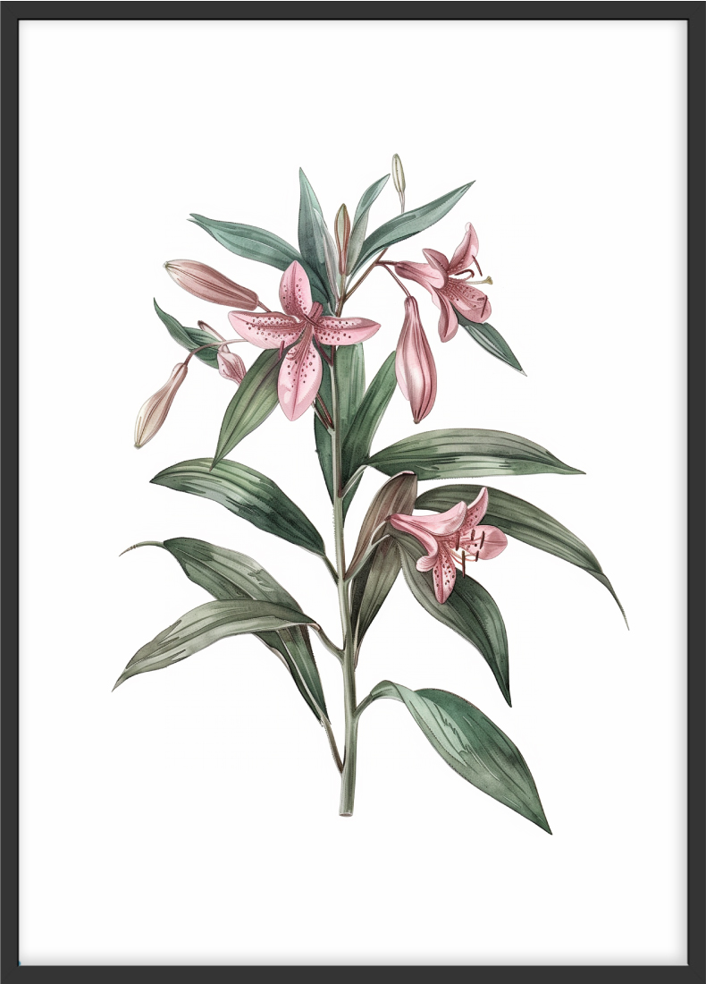 Poster | "Blumen Illustration" (Rahmen)