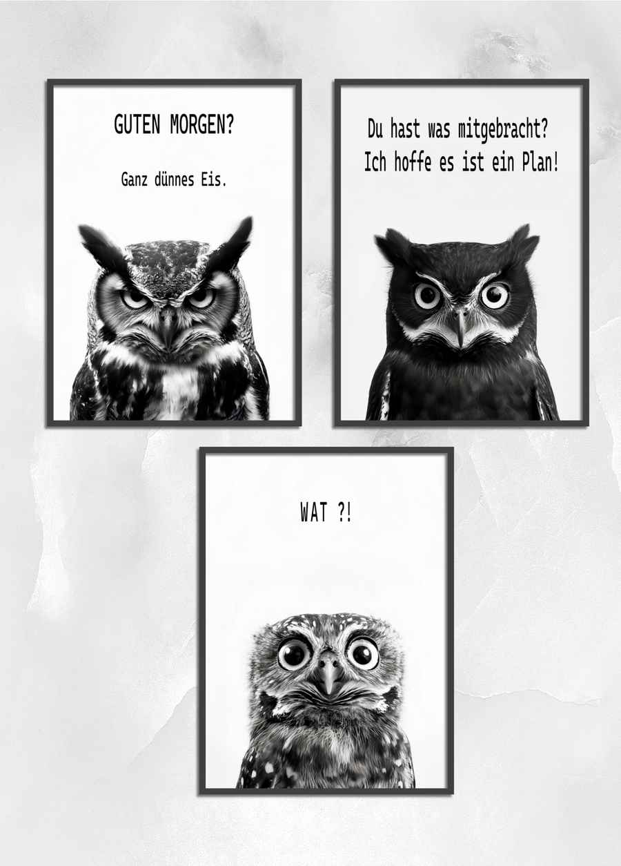 Freche Eulen 3er Posterset
