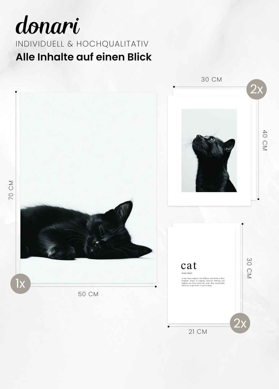 Katzen Poster Set 