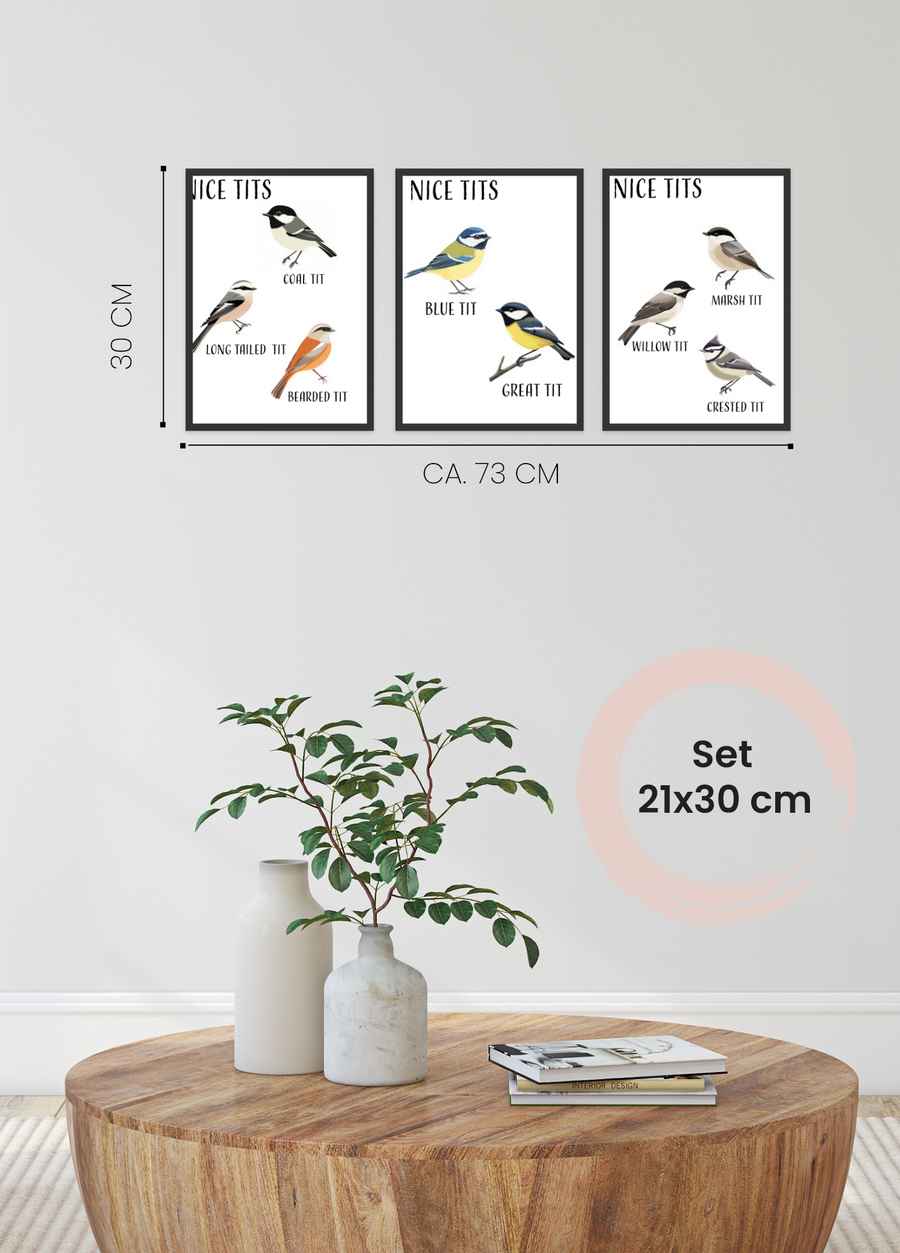 Nice Tits 3er Poster Set für dein Wohnzimmer in 21x30cm