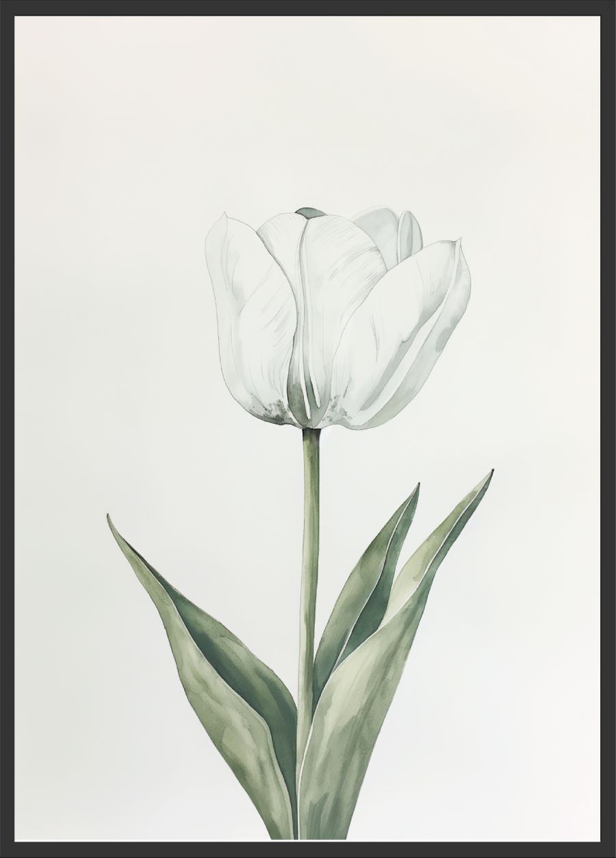 Poster | "Tulpe" (Rahmen)