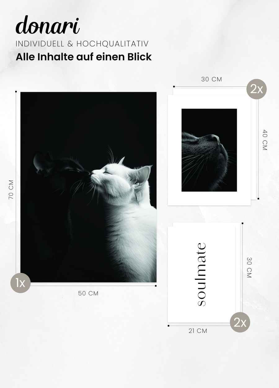 Katzenseelen Poster Set Schwarz Weiß