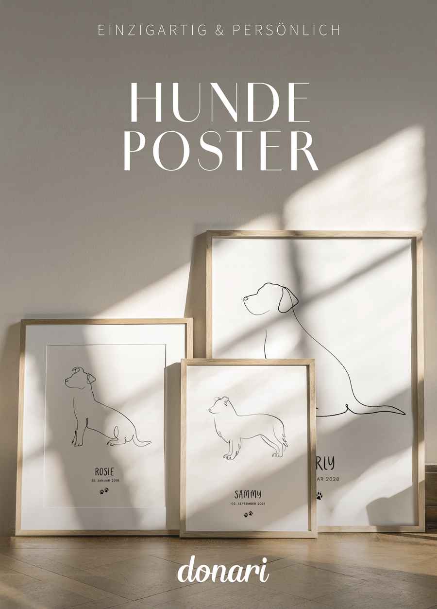 Hunde Bilder eingerahmt