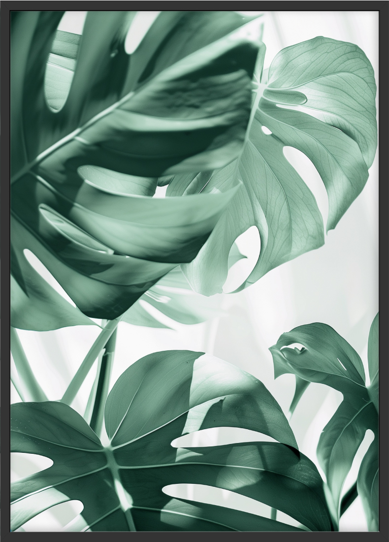 Poster | "Monstera" (Rahmen)