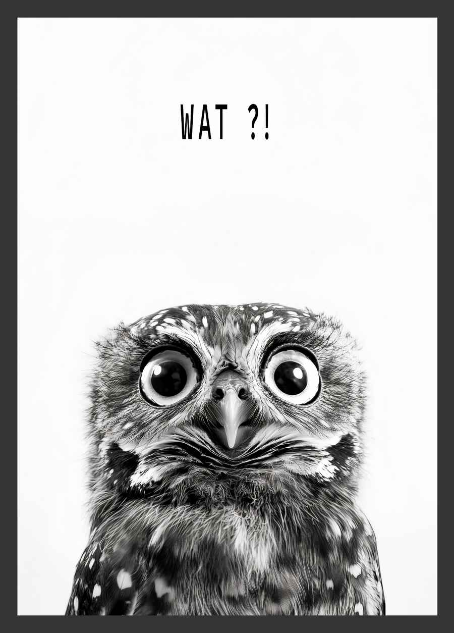 WAT?! Poster
