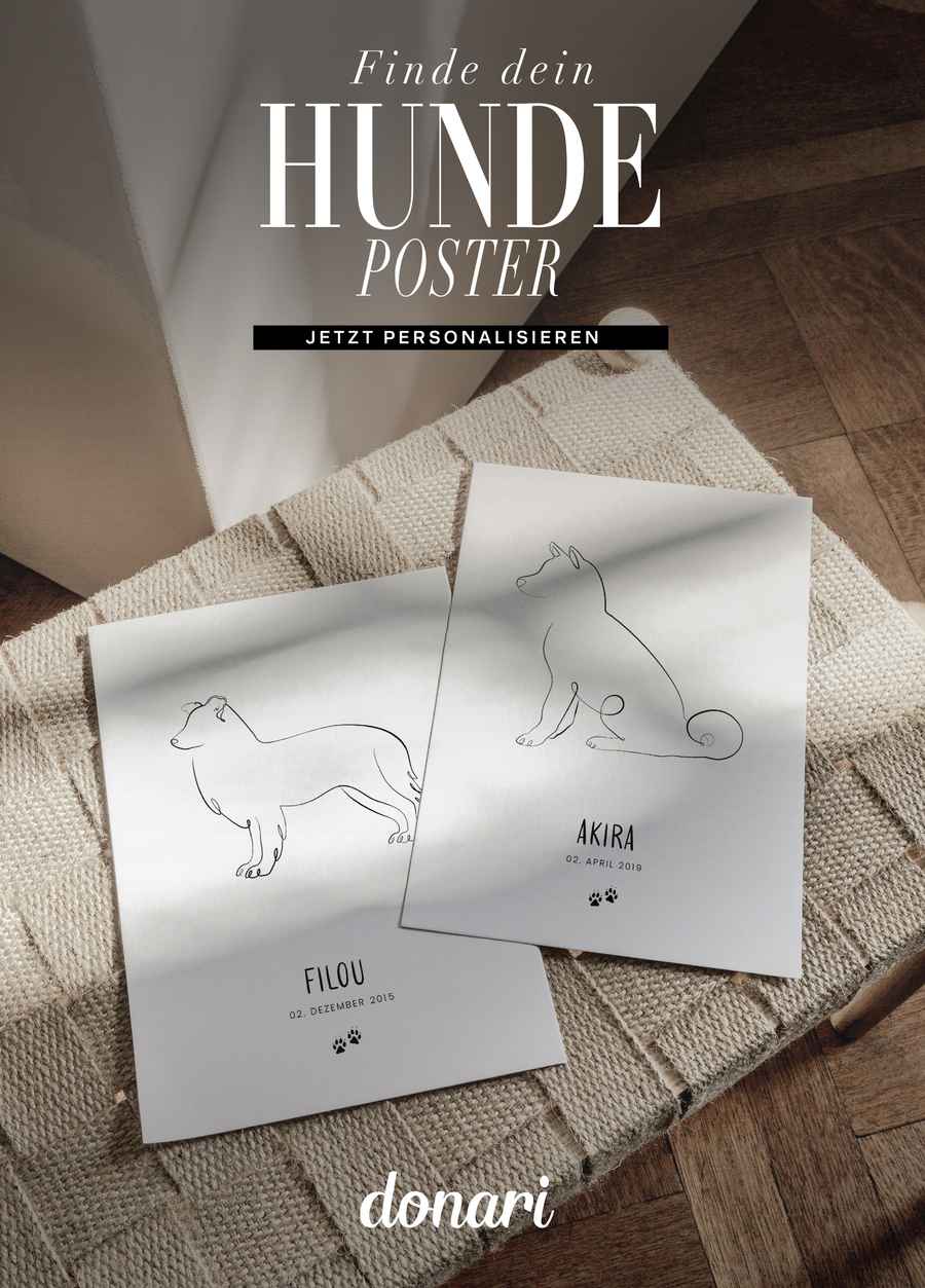 Hunde Poster Inspiration