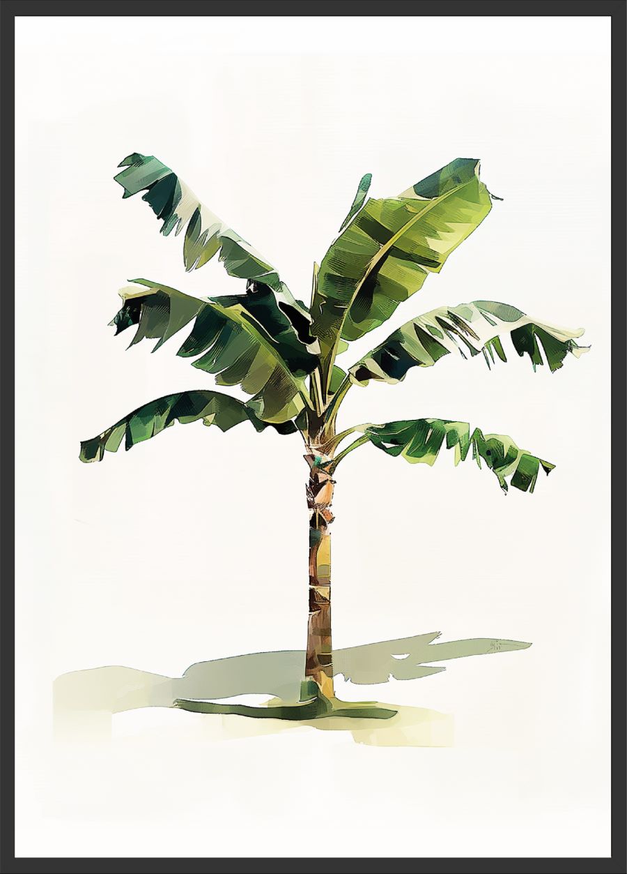 Poster | "Bananen Palme" (Rahmen)