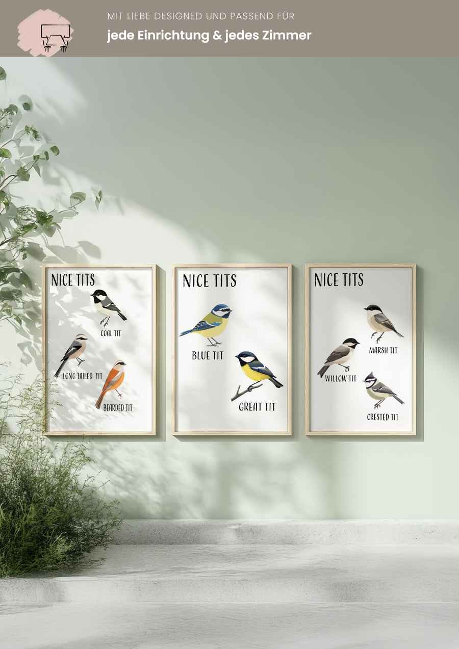 Nice Tits 3er Poster Set für dein Wohnzimmer