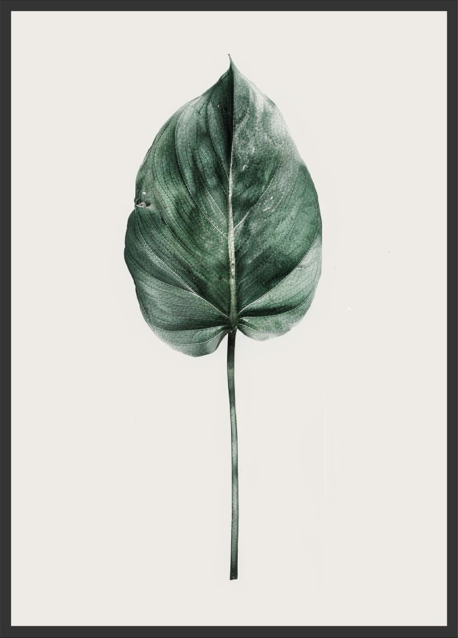 Poster | "Philodendron Palme" (Rahmen)