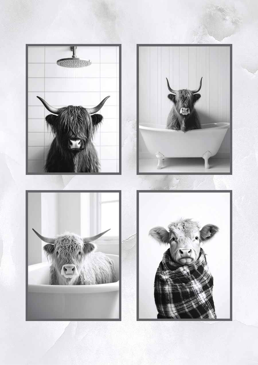 Highland Rinder im Badezimmer