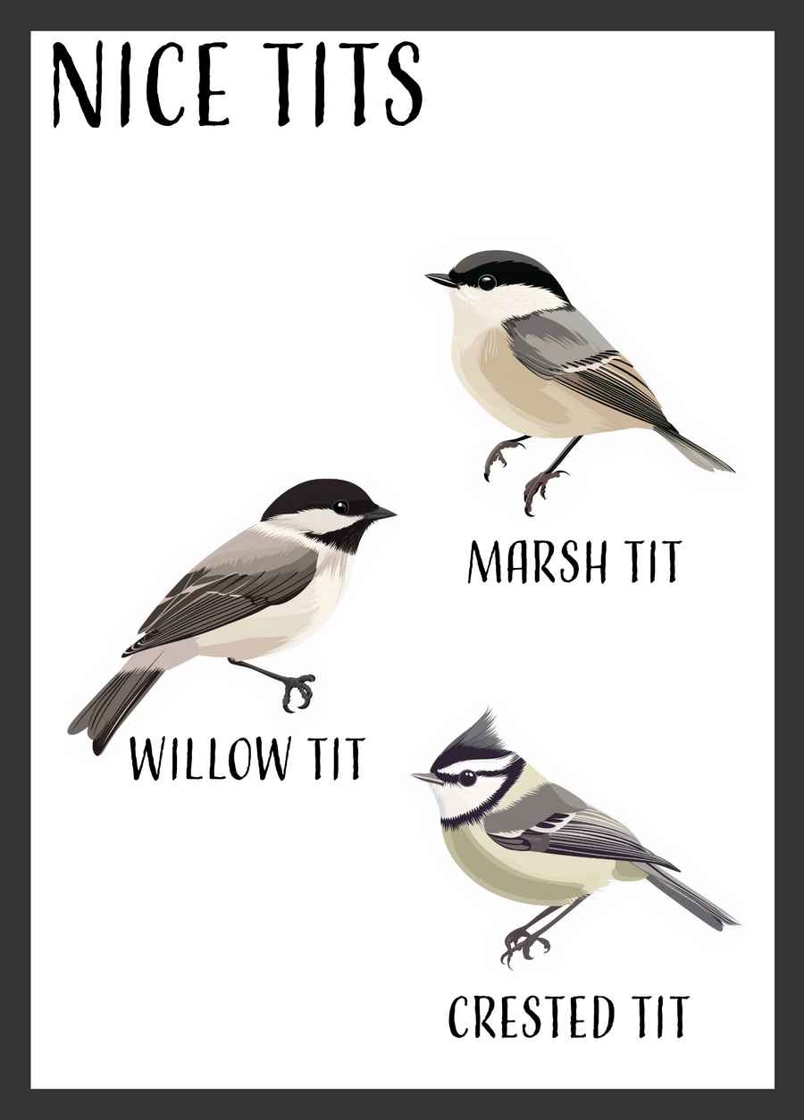 Federleicht & frech Poster