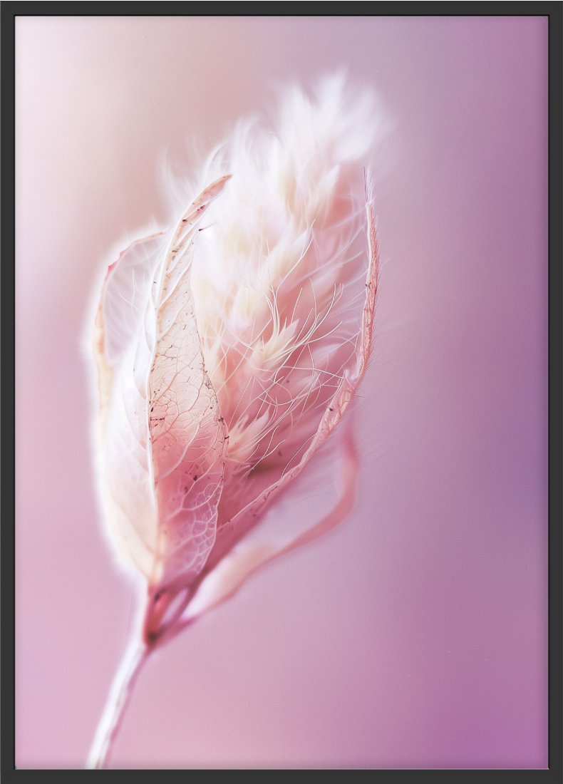 Poster | "Getrocknete rosafarbene Blüte" (Rahmen)