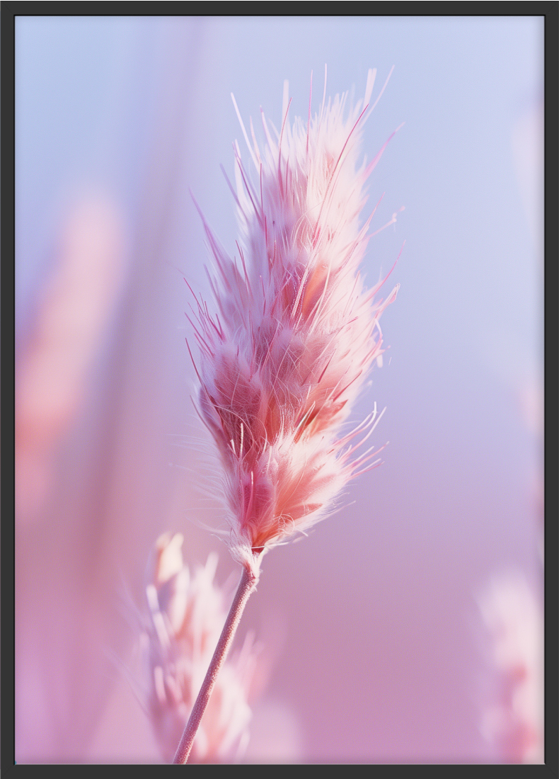 Poster | "Pastellfarbene Blüte" (Rahmen)